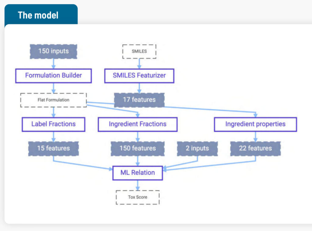 The model flowchart