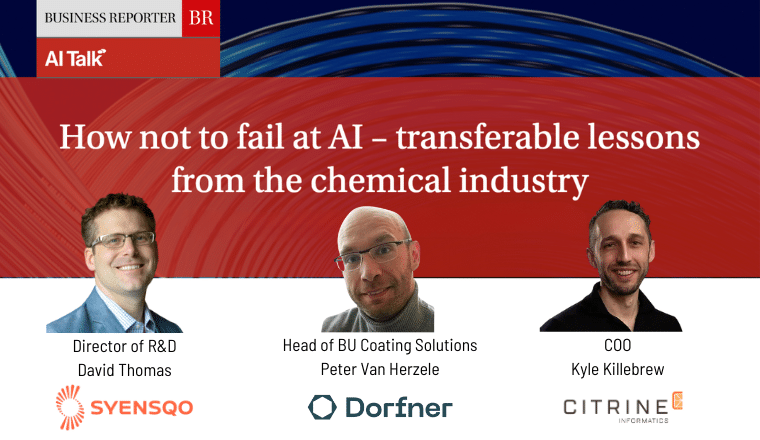 Panel for How Not To Fail at AI webinar