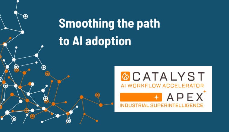 Smoothing the Path to AI Adoption